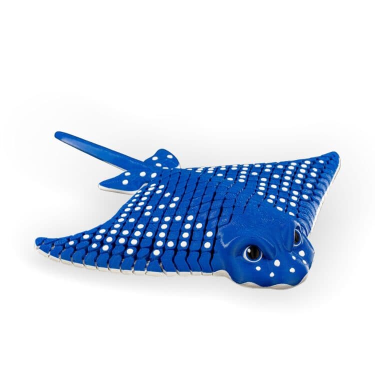 Igor the Spotted Ray