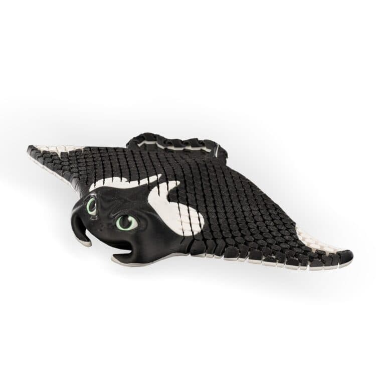 Mannie the Manta Ray