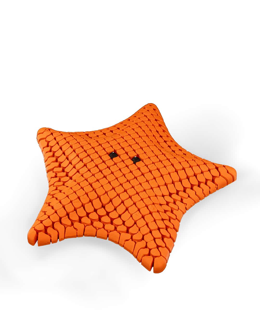 Sea Star - Image 2