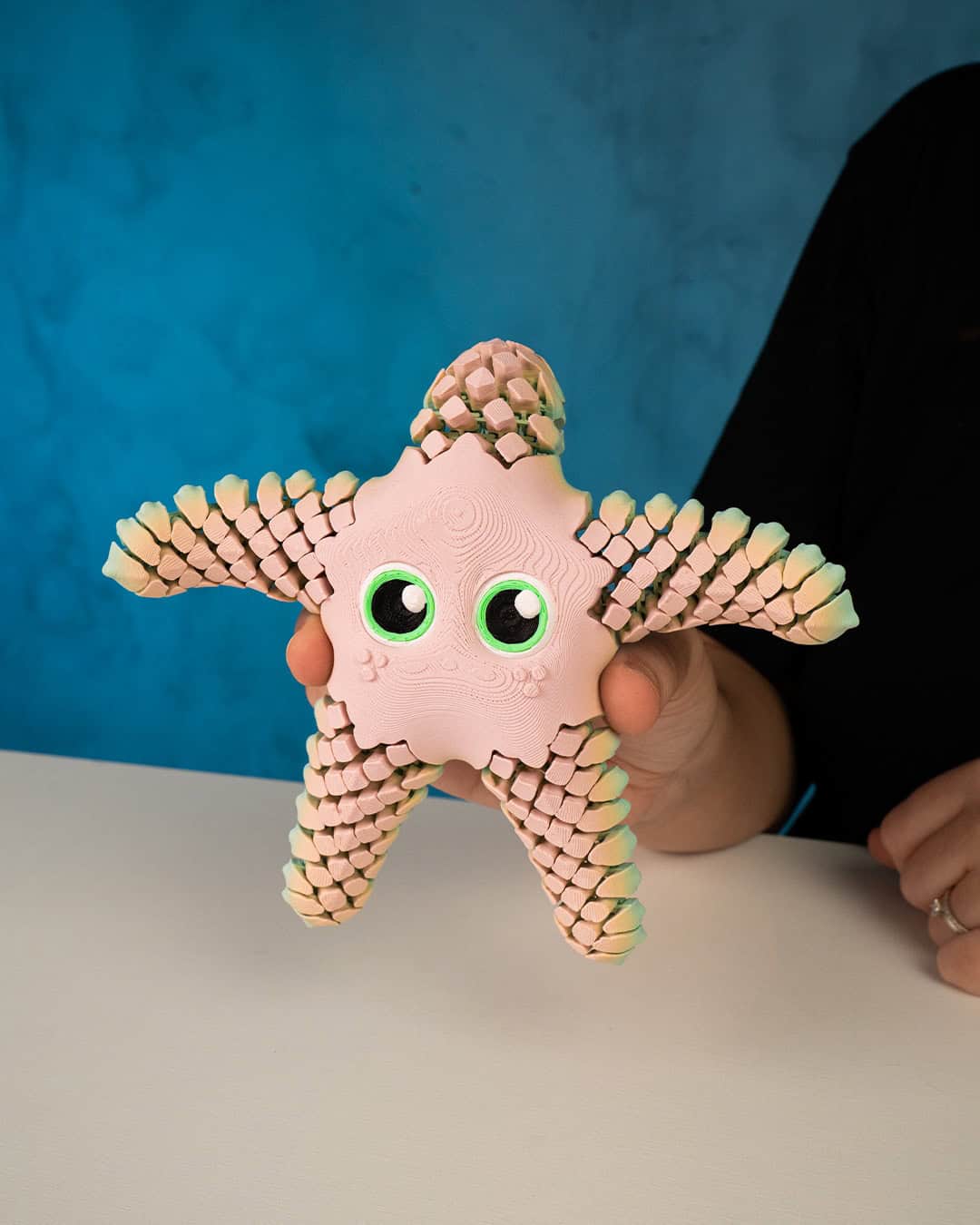 Sandy the Sea Star - Image 6