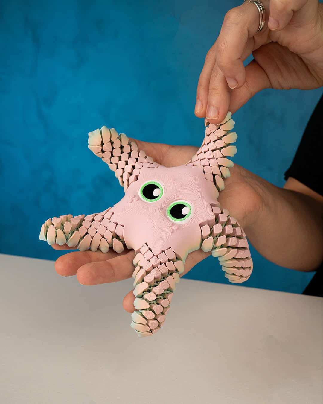 Sandy the Sea Star - Image 5