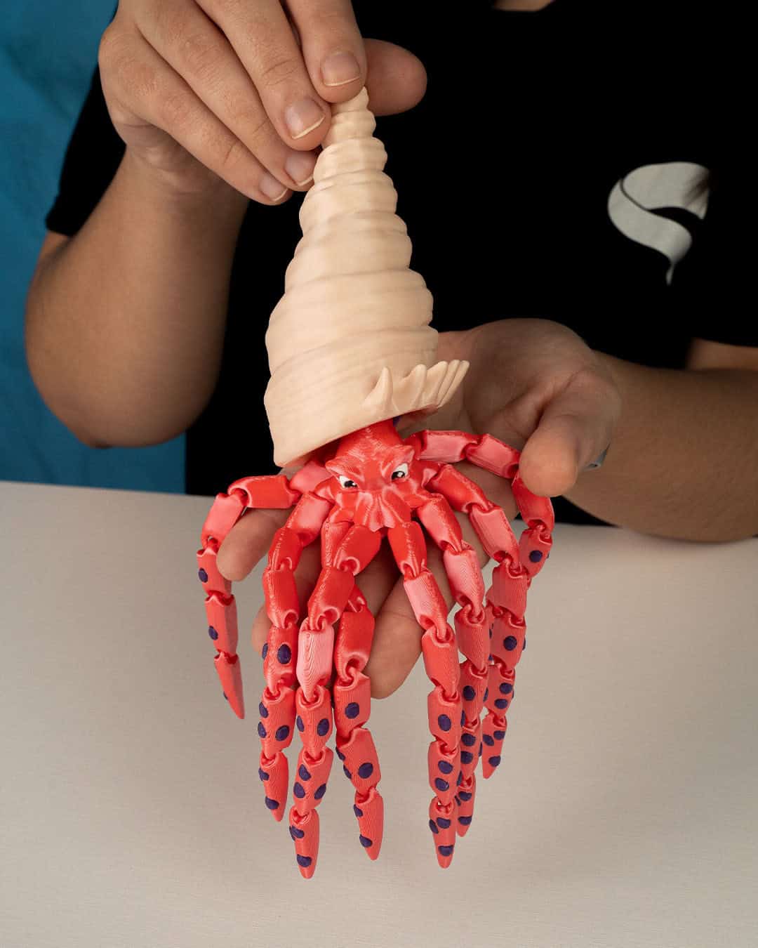 Finn The Squid - Image 9