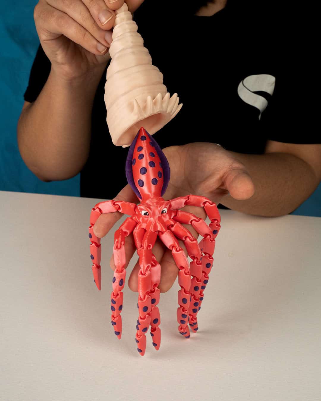 Finn The Squid - Image 8