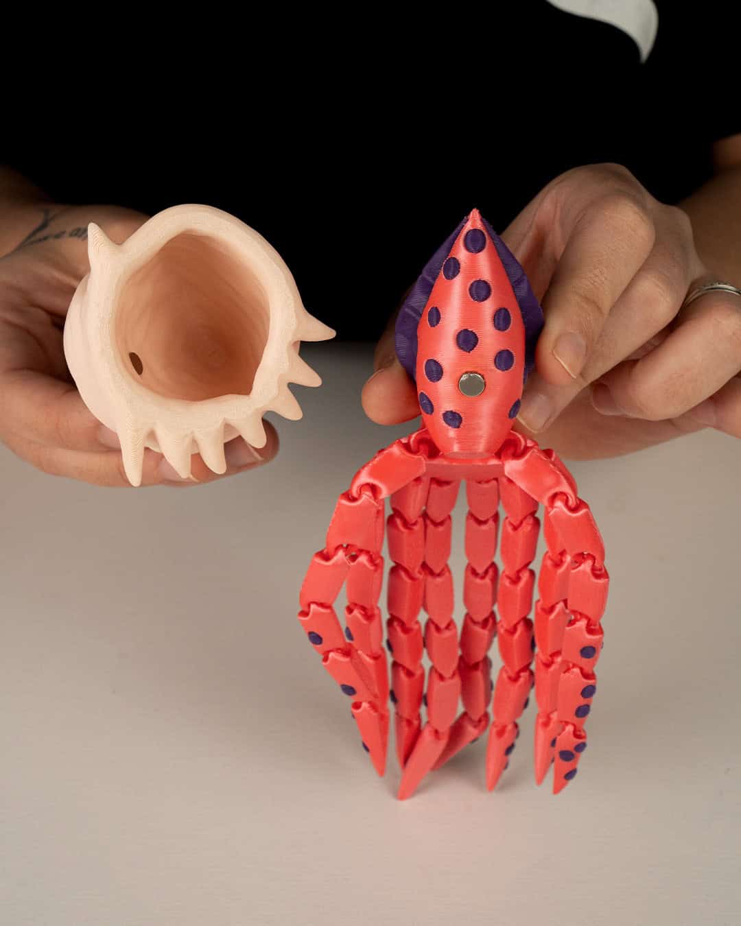 Finn The Squid - Image 7