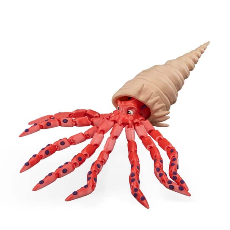 Finn The Squid