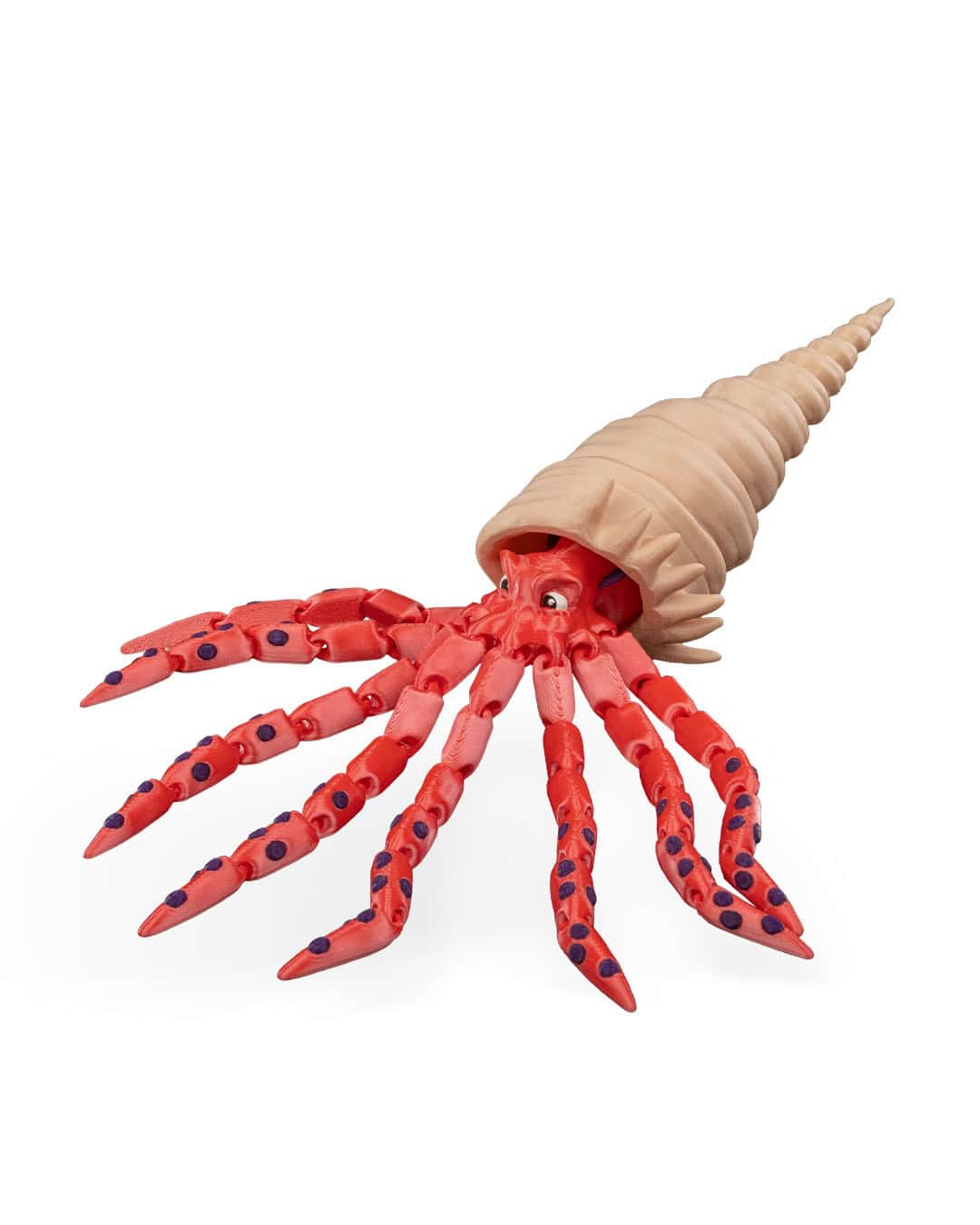 Finn The Squid