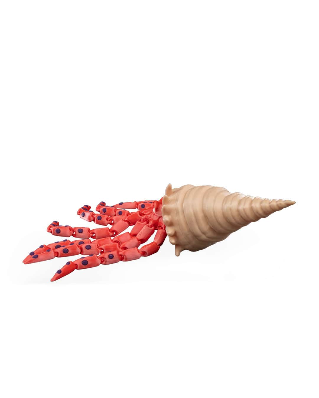 Finn The Squid - Image 4