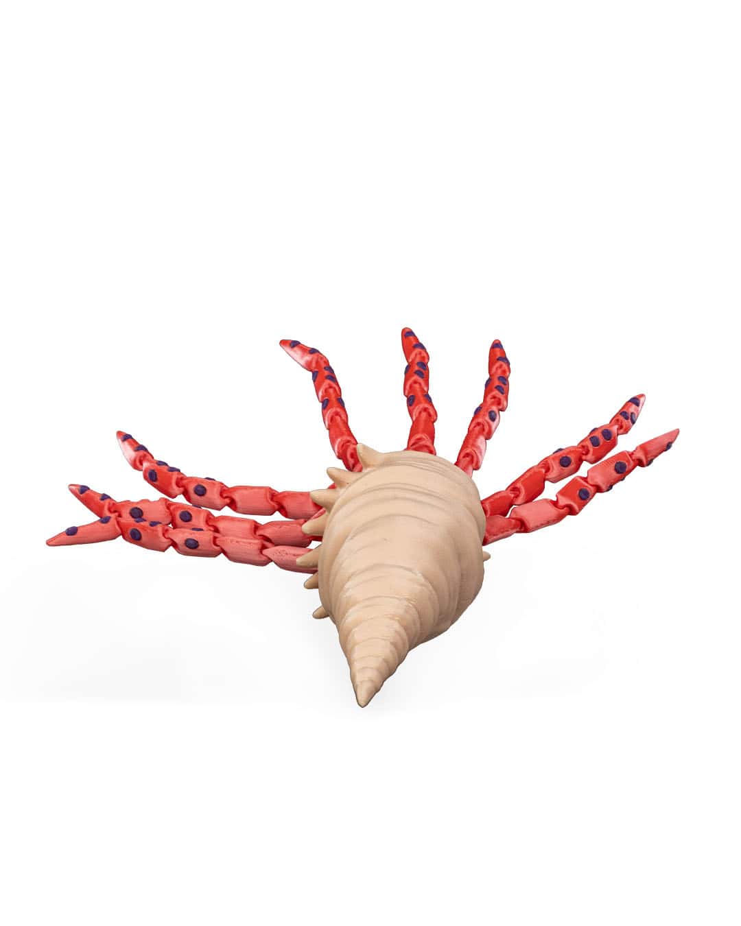 Finn The Squid - Image 3