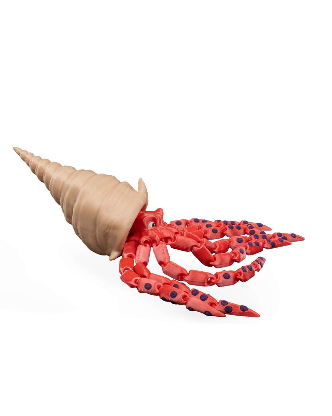 Finn The Squid - Image 2