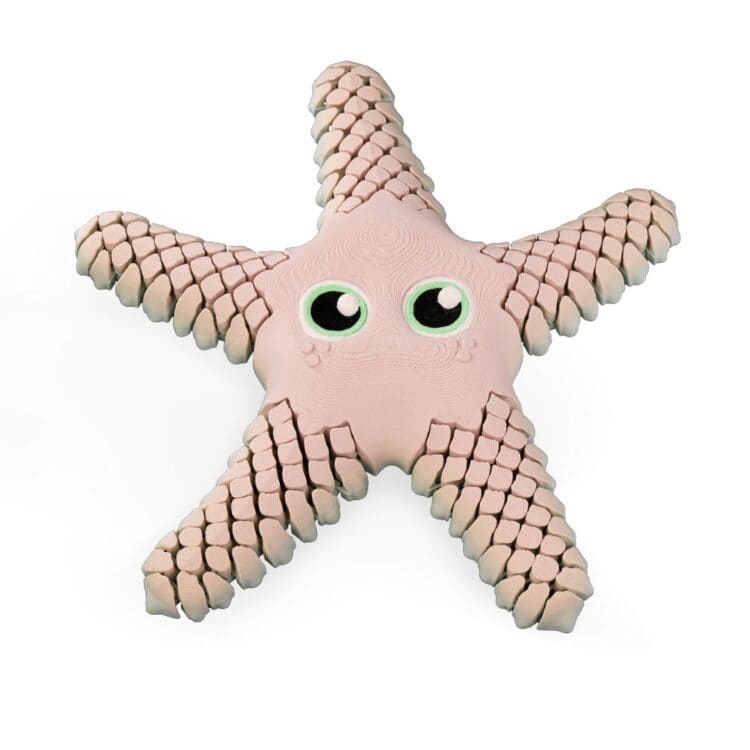 Sandy the Sea Star