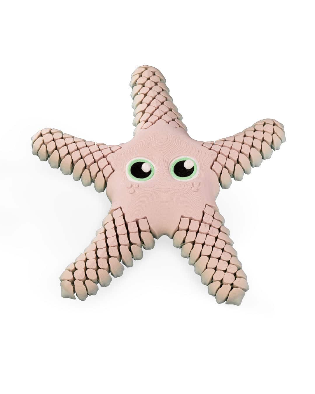 Sandy the Sea Star