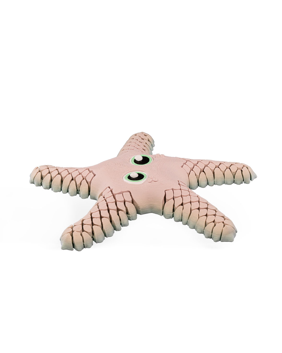 Sandy the Sea Star - Image 3