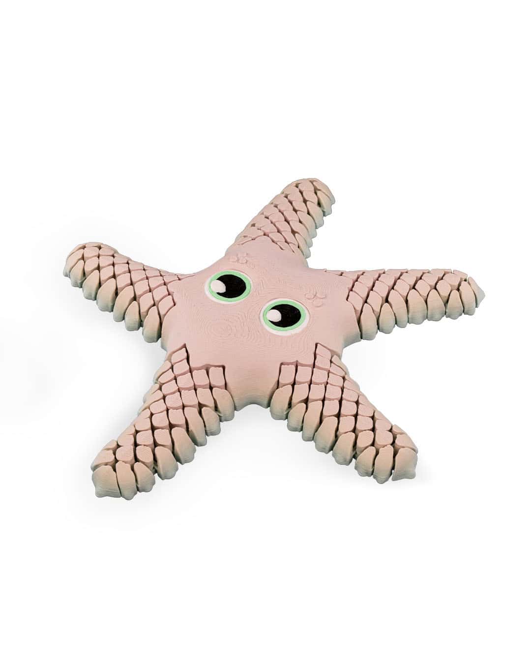 Sandy the Sea Star - Image 2