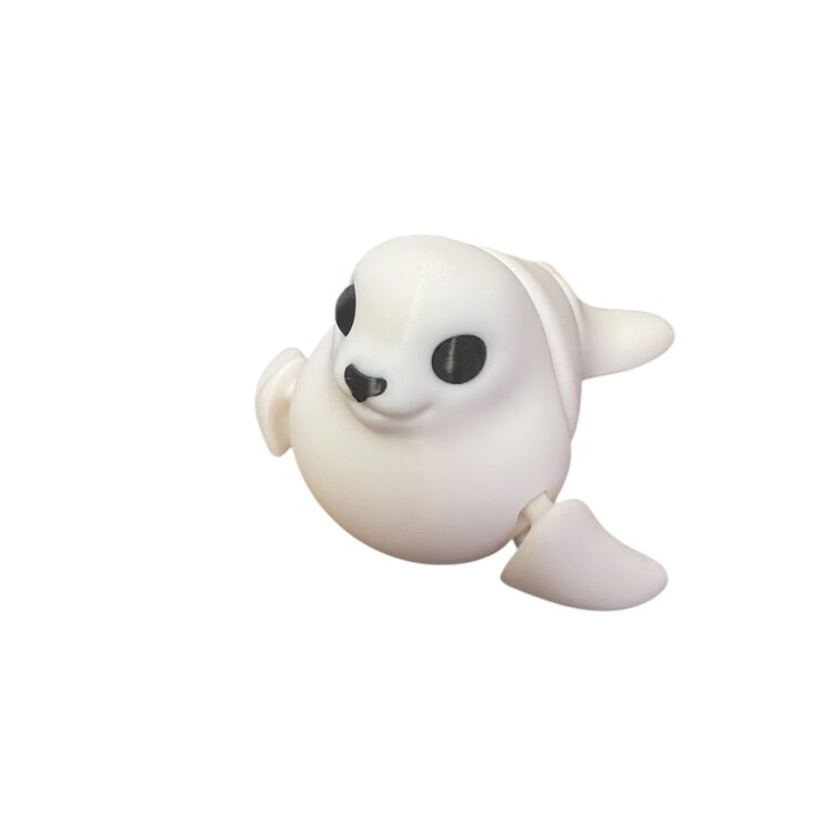 Seal Pup