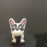 Frenchie Bulldog
