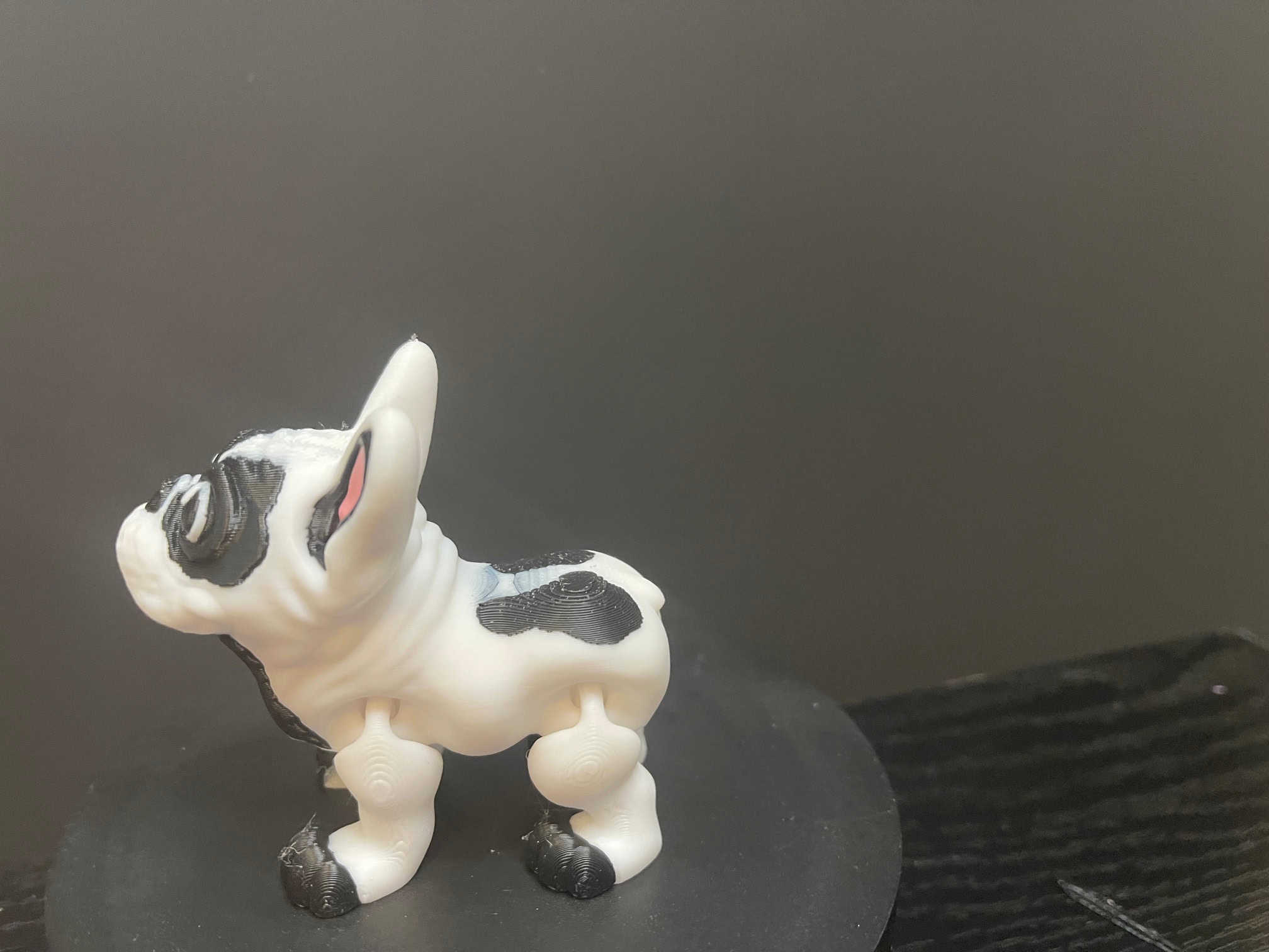 Frenchie Bulldog - Image 3