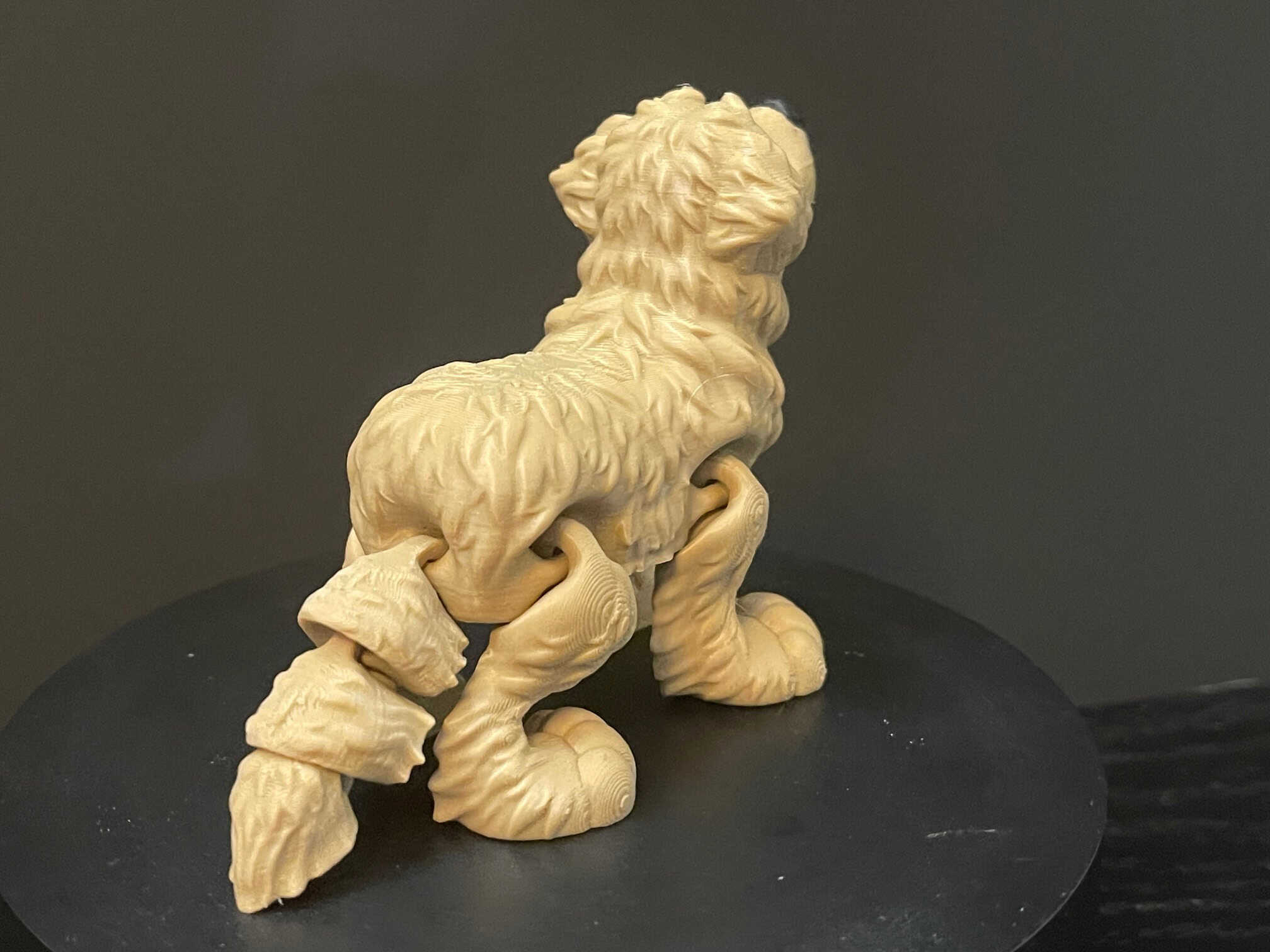 Golden Retriever - Image 4